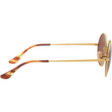 Ray-Ban Oval 1970 Adult Lifestyle Polarized Sunglasses-