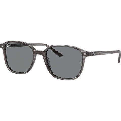 Ray-Ban Leonard Adult Lifestyle Sunglasses-0RB2193