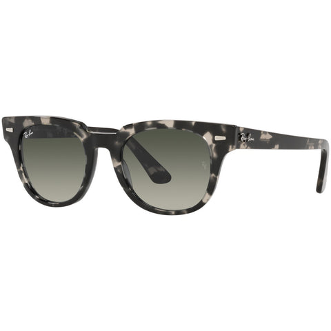 Ray-Ban Meteor Fleck Adult Lifestyle Sunglasses-0RB2168