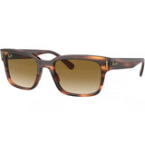 Ray-Ban Jeffrey Men's Lifestyle Sunglasses-0RB2190