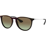 Ray-Ban Erika Classic Women's Lifestyle Sunglasses-0RB4171