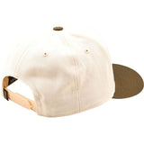 Troy Lee Designs Stamp Curved Men's Snapback Adjustable Hats-766897000
