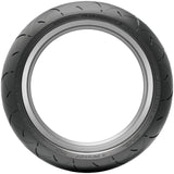 Dunlop RoadSport 2 17" Front Street Tires-0301