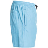 DC Ditmas Park Men's Boardshort Shorts - Heritage Blue