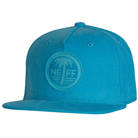 Neff Summertime Men's Snapback Adjustable Hats - Blue